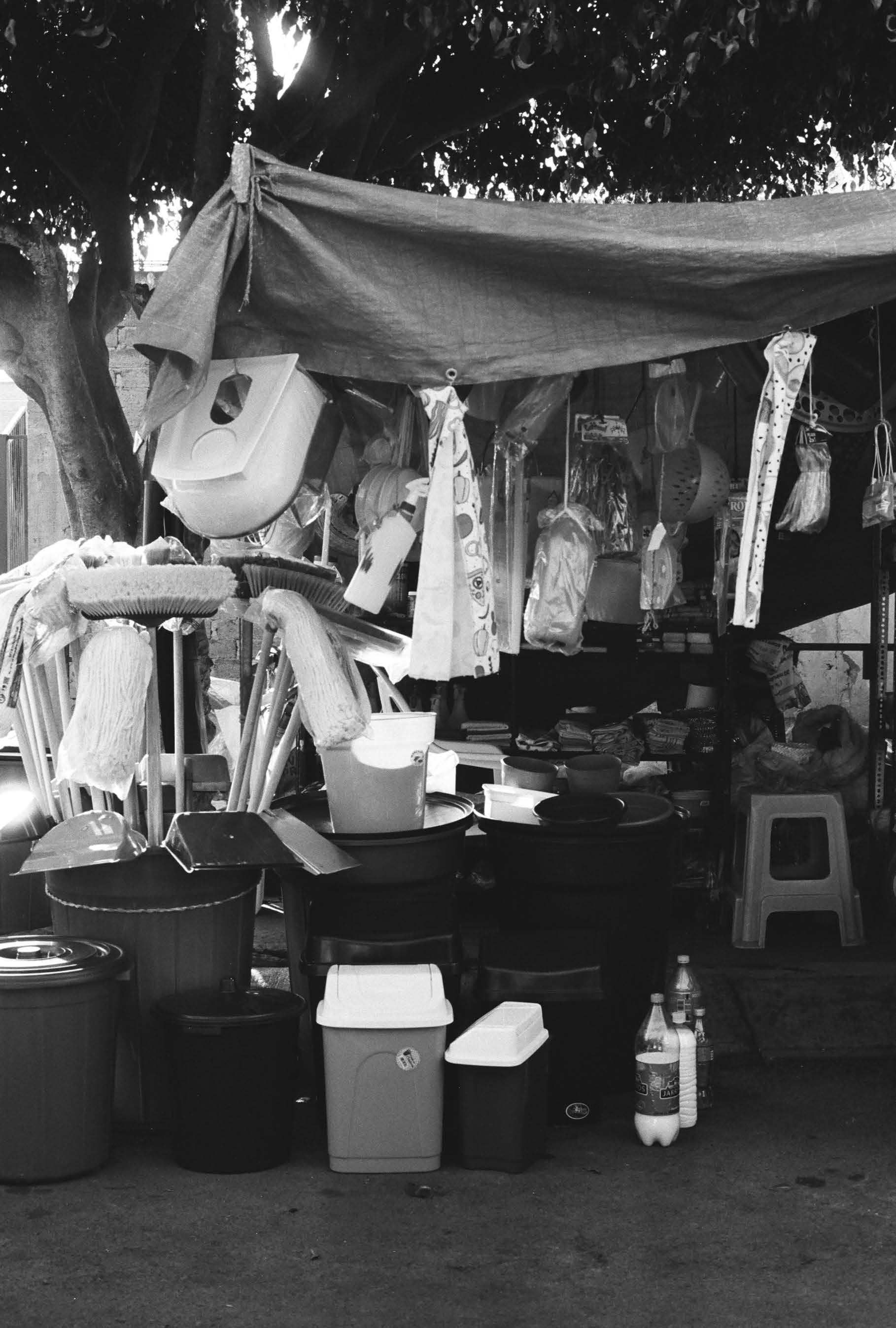 el barrio de Casas ARA, fotografiado por las y los participantes