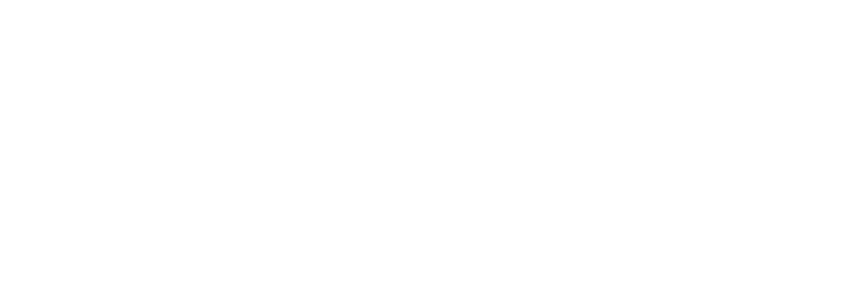 Arte y Cultura Xico A.C.